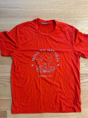 Men’s Icebreaker graphic Crew Tee